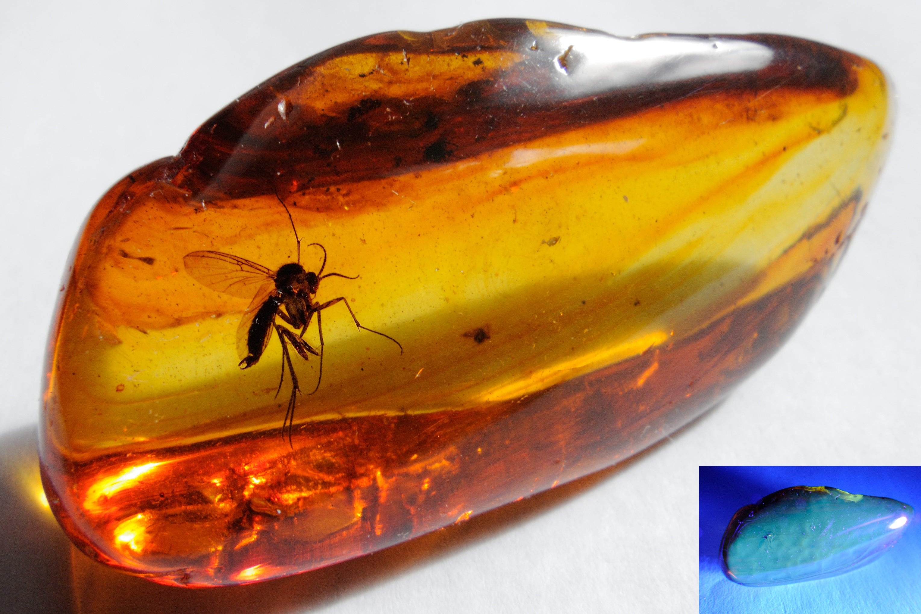 Real photo of Baltic amber piece